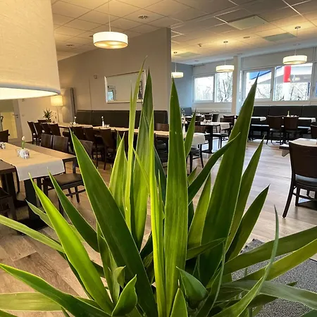 酒店 博登斯沙特迈尔雅琦酒店 3*